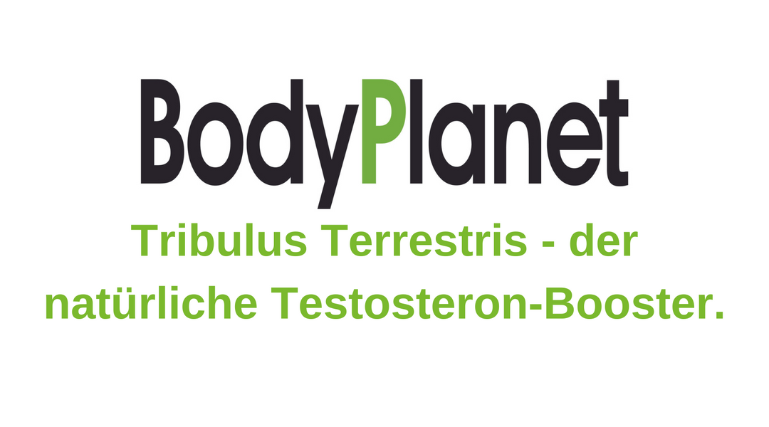 Tribulus Terrestris – Alles, was du wissen musst