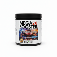 Mega Booster 2.0