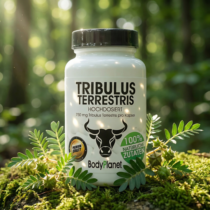 Tribulus Terrestris im natürlichen Wald-Setting mit Sonnenstrahlen