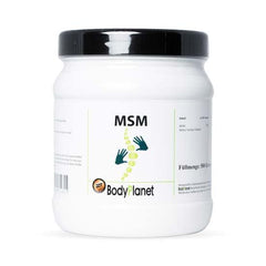 MSM Pulver